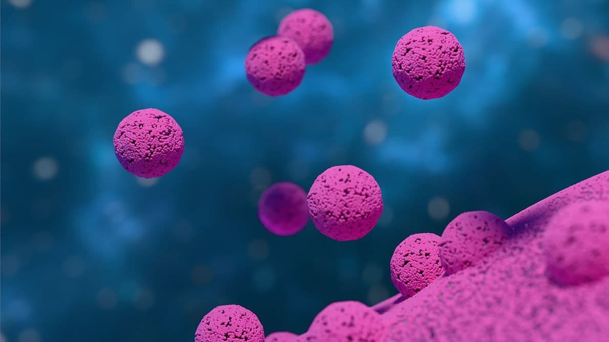 Exosome Therapy treatment at Palm Beach Fertility Center in Boca Raton & Aventura