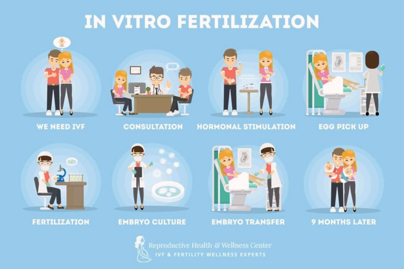 In-Vitro Fertilization (IVF) Process 